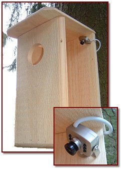 Spy Cam Birdhouse